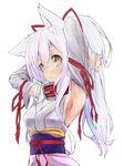  animal_ears armpits arms_up bad_id bad_pixiv_id breasts brown_eyes collar detached_sleeves hair_ribbon hands_in_hair japanese_clothes kimono long_hair looking_at_viewer medium_breasts original ponytail red_ribbon ribbon sakura_inu simple_background solo white_background white_hair 