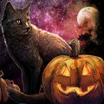  feline feral halloween holidays mammal moon night outside pumpkin sky stars tatchit tree 