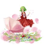  ascot breasts flower green_hair holding holding_umbrella kazami_yuuka long_sleeves mary_janes medium_breasts mogmogura parasol petals plaid plaid_skirt plaid_vest red_eyes shirt shoes short_hair simple_background skirt skirt_set smile solo touhou umbrella vest white_shirt 