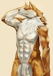  abs anthro balls black_nose canine chest_tuft flaccid fur hi_res kemoisumi looking_at_viewer male mammal muscles navel penis plain_background solo tuft uncut 