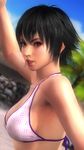  1girl 3d beach bikini black_hair breasts dead_or_alive dead_or_alive_5 large_breasts pai_chan swimsuit tecmo virtua_fighter 