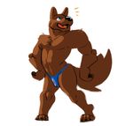  barefoot biceps big_muscles black_nose blue_eyes brown_fur bulge canine chest_tuft exlof fangs fur grin korichi male mammal muscles open_mouth pecs plain_background smile solo standing teeth thong tongue topless tuft white_background wolf 