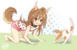  angry animal_ears blush brown_eyes brown_hair byulzzi&#9733;mon byulzzi?mon canine cat clothing collar dog_ears dog_tail fangs feline female hair hair_ornament hairpin hi_res hindpaw human long_hair mammal open_mouth paws scared shorts side_ponytail wolf wolf_ears wolf_tail wolfgirl 