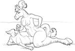  anthro black_and_white bottomless breasts canine clothed clothing cowgirl cowgirl_position domination duo equine erection female female_domination field fox grass half-dressed hand_on_hip horse interspecies male mammal monochrome nipples nude on_top outside penis ponytail sex shirt sitting siyah size_difference straddling 