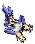  alpha_channel anus avian beak bird blue_feathers butt feathers flat_chested green_eyes lying mancoin nipples plain_background presenting presenting_anus presenting_hindquarters presenting_pussy pussy spread_legs spreading transparent_background video_games 