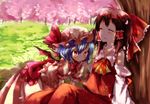  all_fours bad_id bad_pixiv_id bat_wings blue_hair blush bow brown_hair cherry_blossoms dappled_sunlight detached_sleeves dress drooling hair_bow hair_tubes hakurei_reimu hat hat_ribbon miya_(tsumazukanai) multiple_girls nervous red_eyes remilia_scarlet ribbon saliva shade sleeping sunlight touhou tree wings 