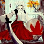  animal_ears bad_id bad_pixiv_id heterochromia highres inubashiri_momiji minase_(mmakina) see-through shield short_hair silver_hair solo sword touhou weapon wolf_ears 