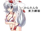  animal_ears bikini blush breasts cleavage easily grey_eyes groin hat inubashiri_momiji large_breasts looking_at_viewer navel open_mouth short_hair silver_hair solo swimsuit tail tokin_hat touhou wolf_ears wolf_tail 