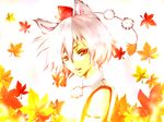  animal_ears autumn_leaves bare_shoulders detached_sleeves hat hokuto_shigure inubashiri_momiji leaf looking_at_viewer pom_pom_(clothes) red_eyes short_hair silver_hair solo tokin_hat touhou wolf_ears 