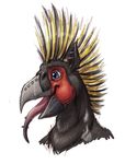  avian beak bird black_feathers blue_eyes feathers hippogryph male mohawk open_mouth piercing smile tongue 