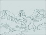  anus artonis avian clitoris female gryphon looking_at_viewer looking_back outside presenting pussy raised_tail sketch solo wings 