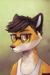  canine eyewear fox glasses hair herutastic male mammal solo 