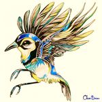  avian bird blue_jay clara_(artist) solo wings 