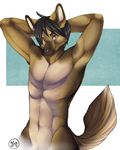  abs abstract_background anthro arms_behind_head biceps black_hair black_nose brown_eyes brown_fur canine dog fur german_shepherd grin hair looking_at_viewer male mammal maxxmissions muscles nude pecs pose simple_background smile solo standing tan_fur 