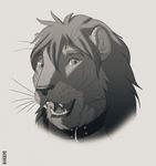  anthro collar craeque face feline fur greyscale hair headshot_portrait kannos lion long_hair looking_at_viewer male mammal monochrome open_mouth plain_background portrait realistic smile solo teeth tongue whiskers 