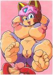  big_breasts breasts female foot_focus hindpaw huge_nipples looking_at_viewer male masturbation paws penis polly_esther pussy samurai_pizza_cats 