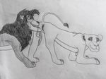 disney feline female invalid_tag kiara king kovu licking lion male mammal pussy royalty straight the_lion_king tongue 