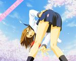  bent_over brown_eyes brown_hair cherry_blossoms copyright_request from_behind horibe_hiderou kneepits legs long_hair looking_back petals school_uniform serafuku skirt solo thighs 