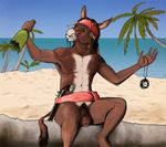  beach brown_eyes disney donkey dreadlocks equine facial_hair gun hair headband hooves horsecock jack_sparrow jewelry male mammal mustache nude palm_tree penis pirate pirates_of_the_caribbean pistol ranged_weapon sea seaside solo treefyleaves water weapon 