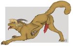  anus aroused ass_up balls butt claws digitigrade dragon drippy eager erection feral fuzzy_dragon hindpaw horn invalid_tag kelo male nude pawpads paws penis precum raised_leg soles solo tanuki_(artist) toes tongue tongue_out 