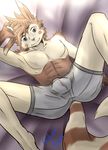  abs anthro black_nose bulge furret grey_eyes looking_at_viewer lying male muscles nintendo pok&#233;mon pok&#233;morph pok&eacute;mon pok&eacute;morph silver_tain solo spread_legs spreading underwear video_games 