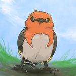  beak bird black_eyes feathers fletchinder no_humans pokemon pokemon_(game) solo talons 