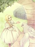  bird braid dress kazaki_(akllab) long_sleeves mystic_ark pigeon puffy_sleeves solo twin_braids white_dress 