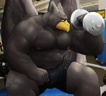  anthro avian beak biceps big_muscles bin bird black_body bodybuilder bodybuilding bulge clothing feathers gryphon gym huge_muscles looking_at_viewer male muscles nipples pecs pose ralarare seated shorts sitting solo sweat_shorts toned topless vein weightlifting weights wings yellow_eyes 