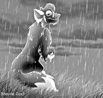  back_turned bj007pro canine dark female feral mammal paws rain shayde_(artist) solo water wet wolf 