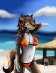  anthro anthrofied beach big_breasts bikini breasts canine cleavage clothed clothing female fur kate mammal mitsi1991 navel seaside smile solo swimsuit wolf 