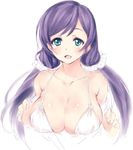  bad_id bad_twitter_id bare_shoulders breasts collarbone green_eyes kawata_hisashi large_breasts long_hair love_live! love_live!_school_idol_project low_twintails purple_hair sketch smile solo toujou_nozomi twintails upper_body 
