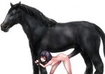  bent_over bestiality breasts cuffs equine erection female feral horse horsecock human interspecies male mammal nude null penetration penis plain_background sex small_breasts standing straight vaginal vaginal_penetration white_background young 