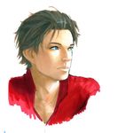  1boy batman_(series) black_hair blue_eyes dc_comics male male_focus portrait red_robin red_shirt shirt solo tim_drake 