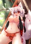  absurdres animal_ears breasts detached_sleeves fundoshi hat highres inubashiri_momiji japanese_clothes large_breasts nipples pussy_juice red_eyes short_hair silver_hair solo tail tokin_hat topless touhou wolf_ears wolf_tail wolflong 