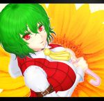  :d arm_belt ascot bad_id bad_pixiv_id bangs breasts buckle collared_shirt colored_eyelashes covered_nipples dress_shirt fingernails floral_background flower from_side green_hair hair_between_eyes holding holding_umbrella kazami_yuuka kinohino large_breasts letterboxed long_fingernails long_sleeves looking_at_viewer looking_back nose open_mouth outline over_shoulder parasol plaid plaid_vest puffy_sleeves red_eyes shirt sleeve_cuffs smile solo taut_clothes taut_shirt tight_shirt touhou umbrella upper_body vest wavy_hair white_shirt 