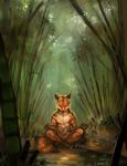  canine feline forest fox hybrid male mammal meditating nude rhyu solo tiger tree 