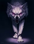  ambiguous_gender angry canine falvie fur looking_at_viewer mammal markings open_mouth purple_eyes solo wolf 