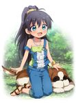  :d animal anklet antenna_hair black_hair blue_eyes blush bracelet capri_pants dog earrings fang ganaha_hibiki high_ponytail hiiringu hoop_earrings idolmaster idolmaster_(classic) inumi jewelry kneeling long_hair open_mouth overalls pants ponytail sandals smile solo st_bernard strap_slip 