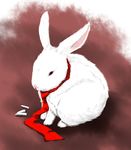  bunny itsuku necktie no_humans realistic red_eyes red_neckwear reisen_udongein_inaba reisen_udongein_inaba_(bunny) solo suppository touhou 