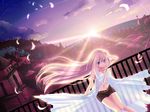  blue_eyes child-box cityscape feathers long_hair md5_mismatch megurine_luka ocean pink_hair scenery shorts sky solo sunset vocaloid 