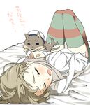  bad_id bad_pixiv_id bed bed_sheet blush braid brown_legwear dog ears green_legwear hat knees_together_feet_apart kuji_kanesada long_hair lynette_bishop open_mouth panties shiba_inu shirt simple_background sleeping strike_witches striped striped_legwear sweat sweatdrop tail tail_wagging tariho_(robotanime) thighhighs translated underwear vest vest_lift white_background white_panties white_shirt world_witches_series 