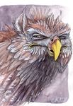  avian beak gryphon ironfeathers reaction_image solo traditional_media watercolor yellow_eyes 