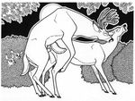  deer female group male mammal penetration straight tim_o&#039;rourke tim_o'rourke vaginal vaginal_penetration voyeur 