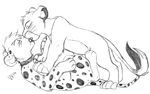  collar cub disney drooling duo eyes_closed feline gay kissing leopard lion lying male mammal monochrome nirfirvious on_back pencil pinning saliva simba the_lion_king vilani young 