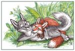  ambiguous_gender avoid_posting canine conditional_dnp cuddling cute duo fox fur grey_fur mammal outside tani_da_real 