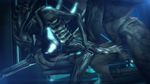 3d alien alien_(franchise) animated anthro balls breasts cgi crossover cum cum_in_pussy cum_inside dragon-v0942 duo erection faceless_male female halo_(series) loop male nude penetration penis sangheili scalie sex source_filmmaker straight teeth vaginal vaginal_penetration video_games xenomorph 