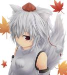  animal_ears autumn_leaves bare_shoulders detached_sleeves hat hidarikata inubashiri_momiji leaf looking_at_viewer pom_pom_(clothes) red_eyes shirt short_hair silver_hair solo tail tokin_hat touhou wolf_ears wolf_tail 