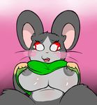  female hamster mammal mini-ham nipples rodent roy_mccloud solo 