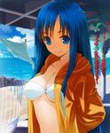  beach bikini blue_eyes blue_hair blush breasts cleavage clothes_pin clothesline cloud collarbone day hirokiku hood hood_down hoodie jacket long_hair looking_at_viewer medium_breasts original outdoors rock shadow smile solo swimsuit upper_body water white_bikini 