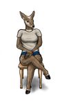  black_nose cervine chair clothed clothing crossed_legs female leap833 mammal sitting solo 